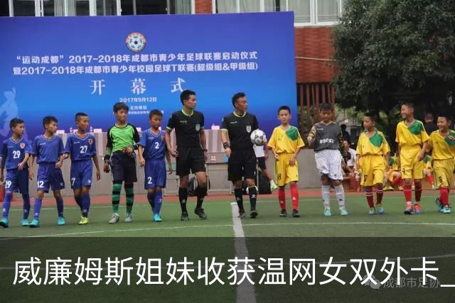 威廉姆斯姐妹收获温网女双外卡 曾六次问鼎温网女双创纪录